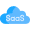 White-Labeled SaaS